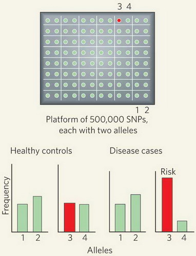 3D相机功能，通过虚拟现实全面提升观影体验