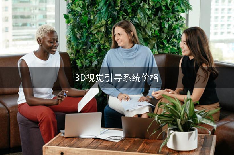 3D视觉引导系统价格