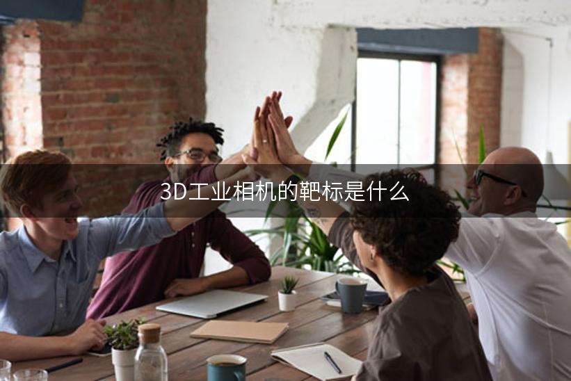 3D工业相机的靶标是什么