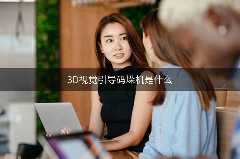 3D视觉引导码垛机是什么