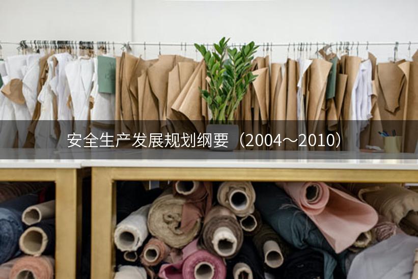 安全生产发展规划纲要（2004～2010）