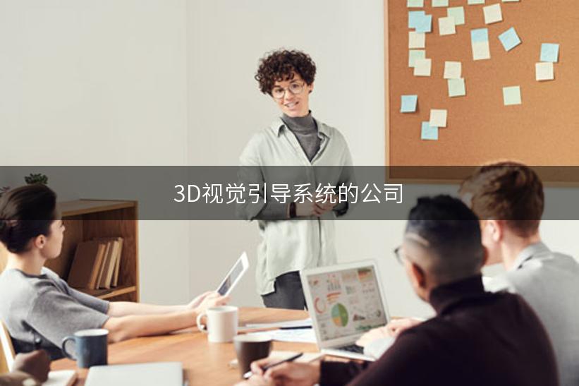 3D视觉引导系统的公司