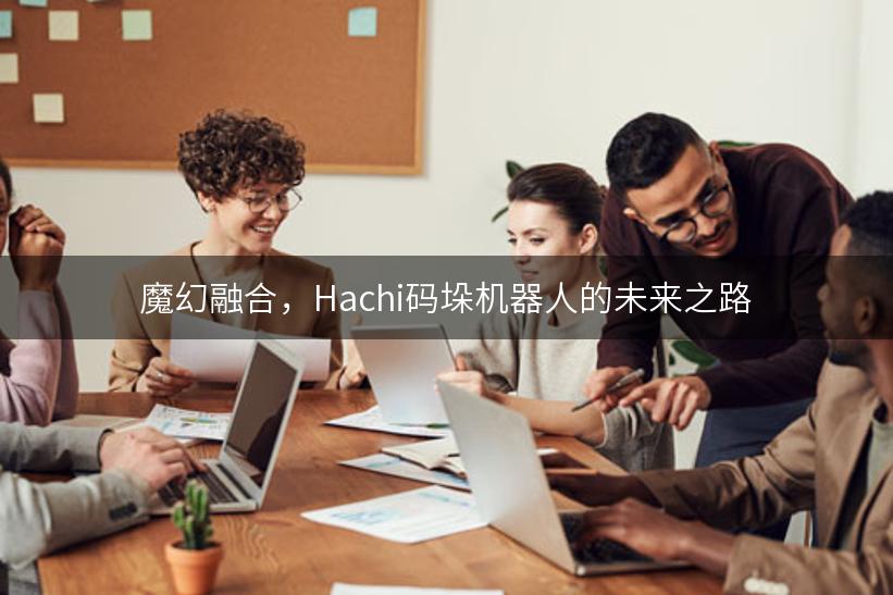 魔幻融合，Hachi码垛机器人的未来之路